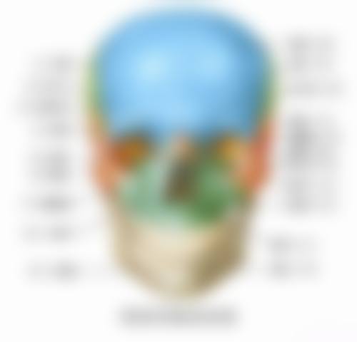 四、湛江市汇致上善口腔设备介绍