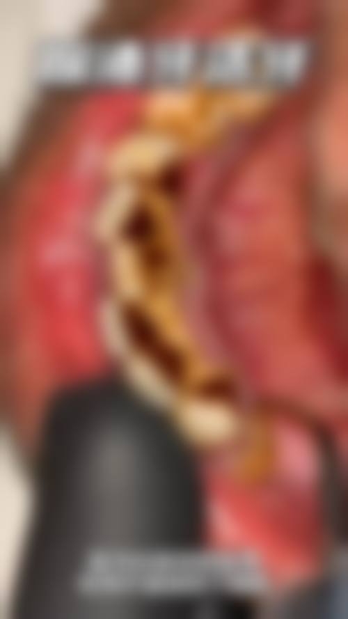 五、历城雅舒美口腔（中新国内外店）舒适就医环境，打造人性化诊疗体验