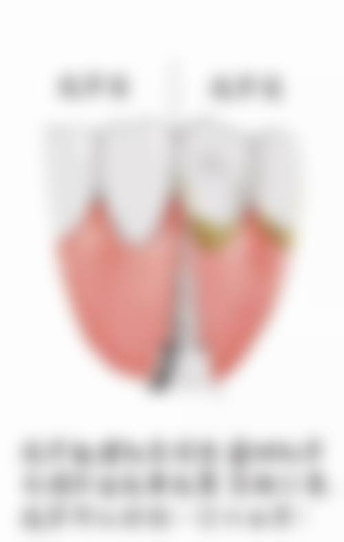 二、平顶山佳美口腔医生团队，打造专精诊疗服务