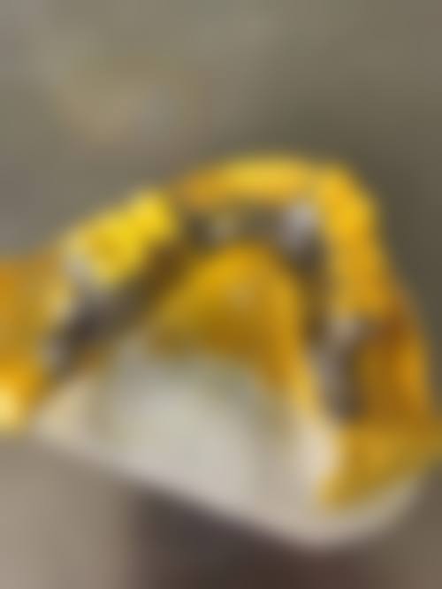 七、云南普洱优尔口腔就医指南，便捷就诊不迷路