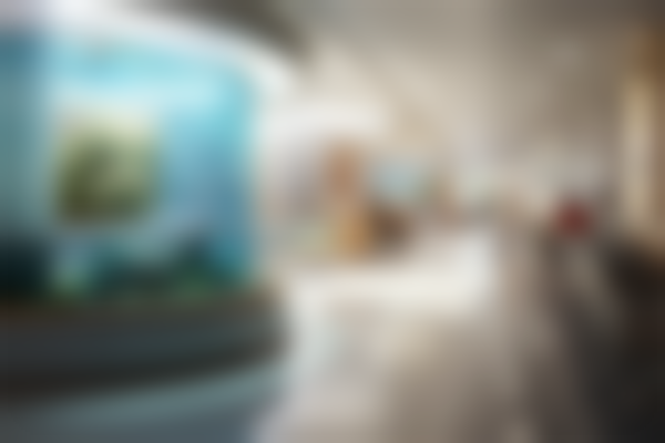 达州斯迈欧口腔(莲湖誉府店)