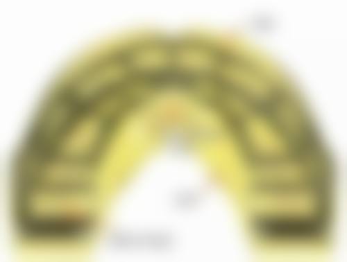 六、武汉大众口腔（鲁巷门诊）荣誉资质与患者口碑，见证品牌实力