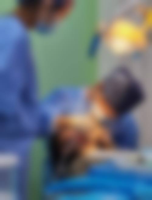 二、延安市洛川县亨利口腔医生团队，打造专精诊疗服务