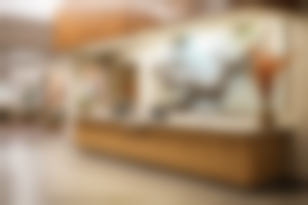 盐城市艾美莱口腔门诊