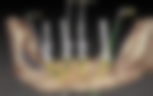 六、肇庆牙精英端州嘉湖口腔门诊部荣誉资质与患者口碑，见证品牌实力