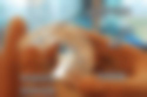 三、湖南张家界桑植县月贵牙科诊所核心科室与特色项目