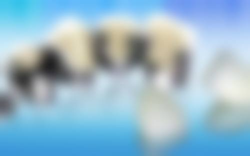 五、平湖当湖麦芽口腔门诊部舒适就医环境,打造人性化诊疗体验