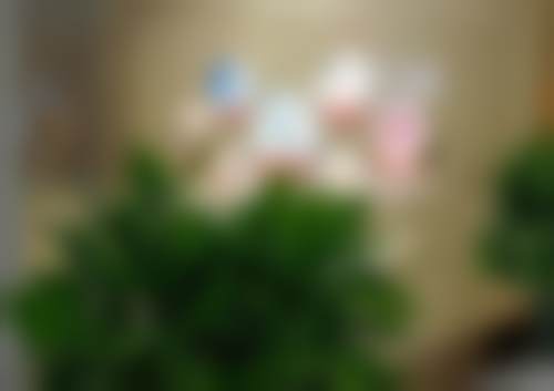 七、随州牙博仕口腔曾都区烈山大道门诊部就医指南，便捷就诊不迷路