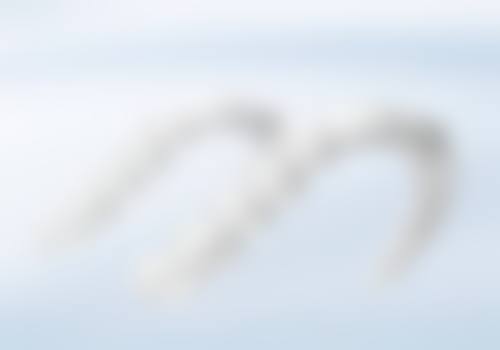 三、内蒙古通辽市经济技术开发区雅美口腔门诊部核心科室与特色项目