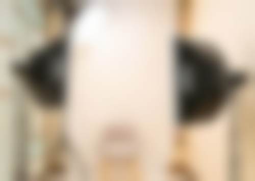 二、武汉睿优睿欣口腔门诊部医生团队，打造专精诊疗服务