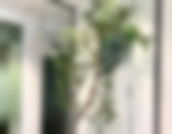 七、常德武陵整齐天使口腔门诊部就医指南，便捷就诊不迷路