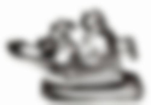 二、广东广州雅晶口腔医生团队，打造专精诊疗服务