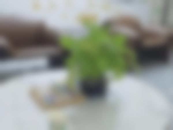 诸暨浙绍口腔门诊部