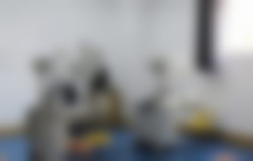 总结