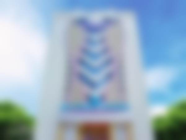 王仕川医生在湛江华美主要擅长哪些项目?