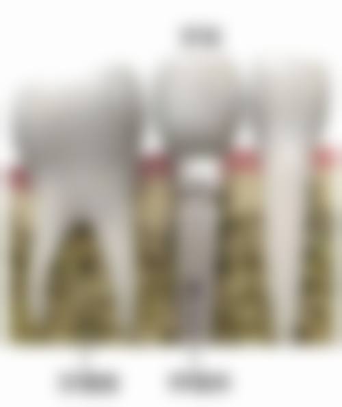 写在结尾:去广东惠州馨心口腔看牙的交通与便利性