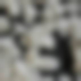 二、呼伦贝尔肖春华口腔医生团队，打造专精诊疗服务