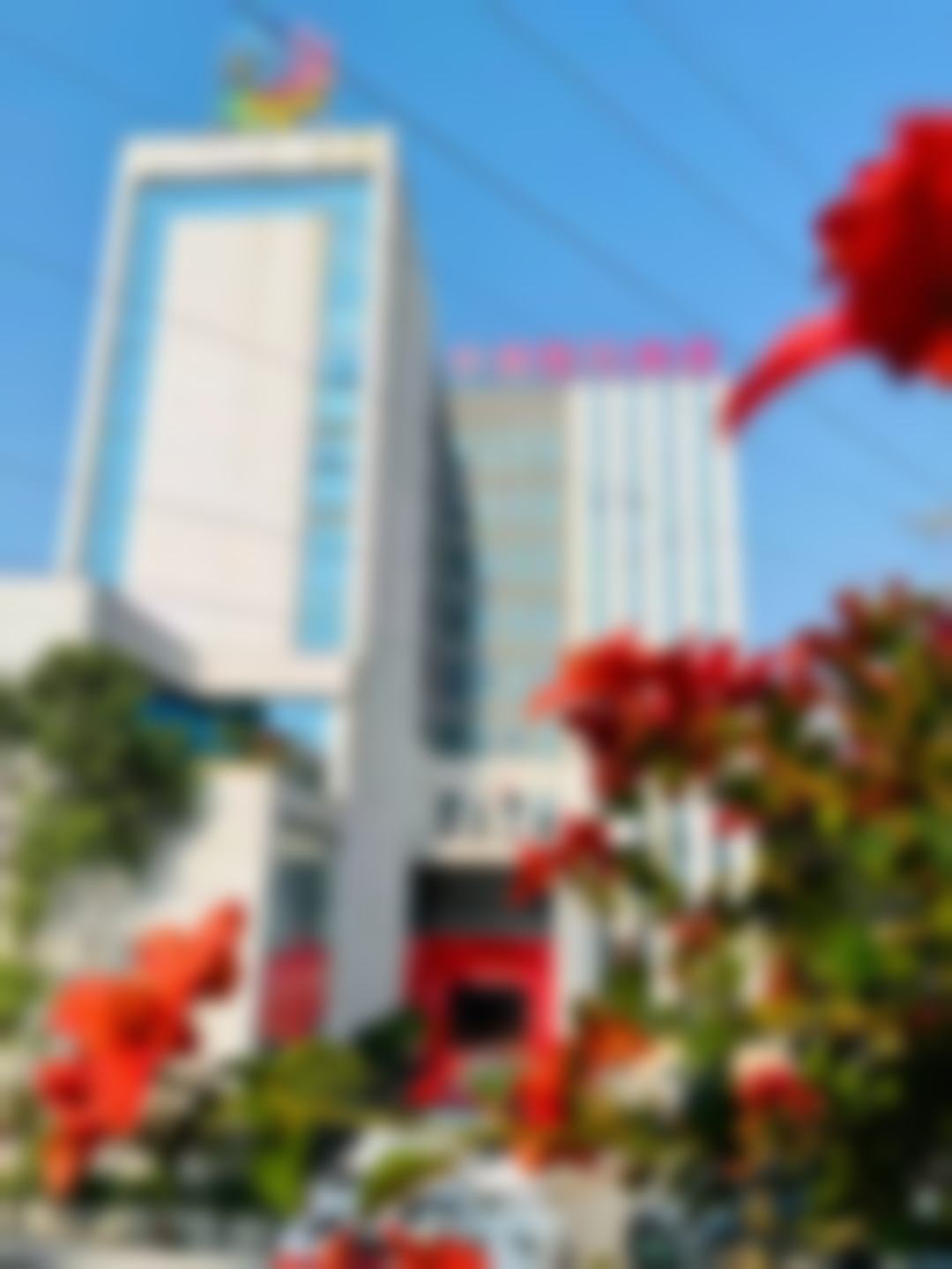 医院资质与正规性深度解析