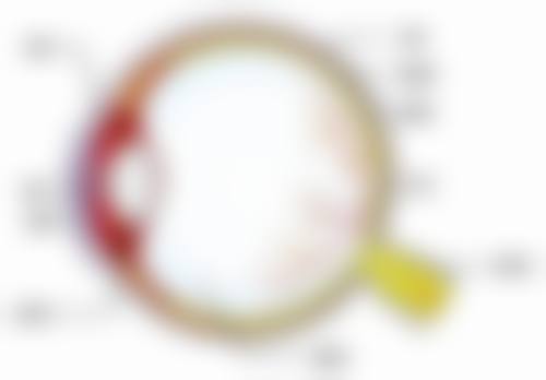 擅长项目详解：龙岩市第二医院眼科邱品生