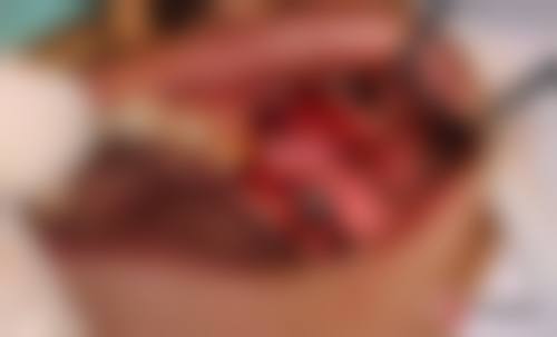 价格透明与优惠活动