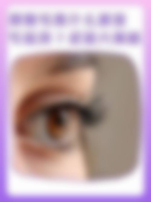 擅长项目详解
