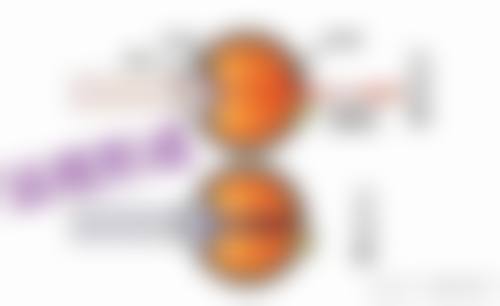 常见问题解答FAQ