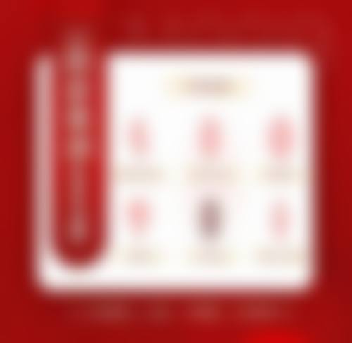 擅长项目详解