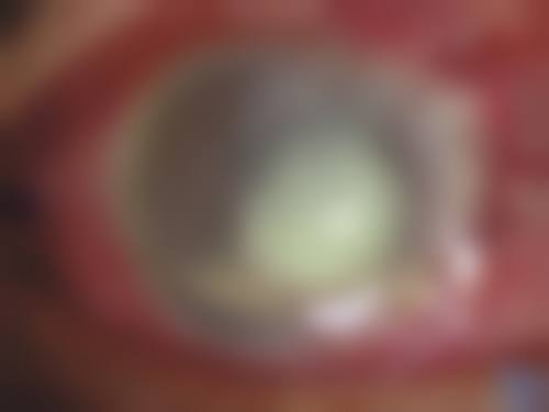 总结与预约指引