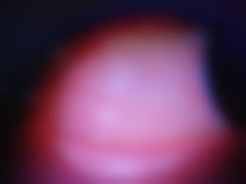 擅长项目详解