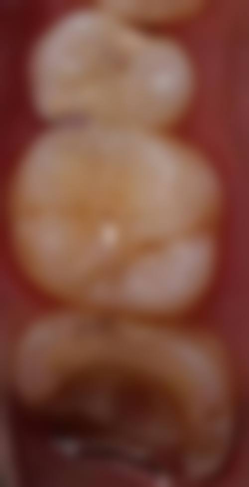 专精服务流程与预约指南