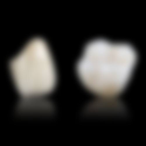 常见问题解答