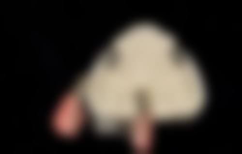 总结与预约指引