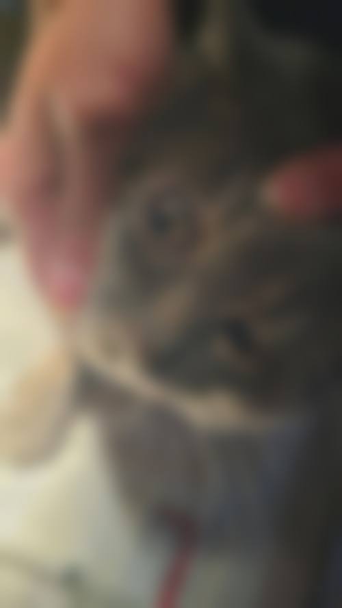 临床实例分享