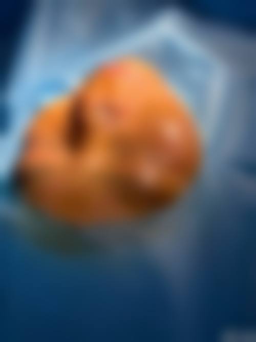 服务流程与优惠活动：贴心全程陪伴