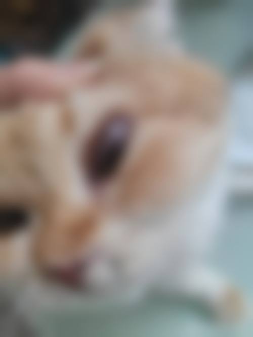 预约优惠活动