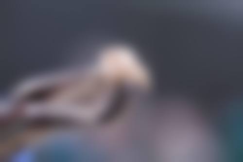 合肥冠爵口腔诊所医生团队与真实口碑评价