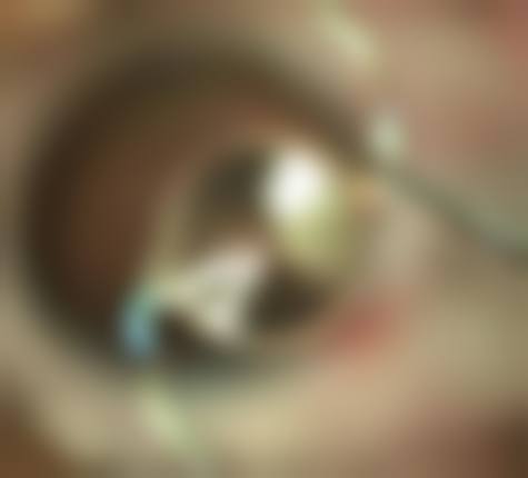 预约优惠活动