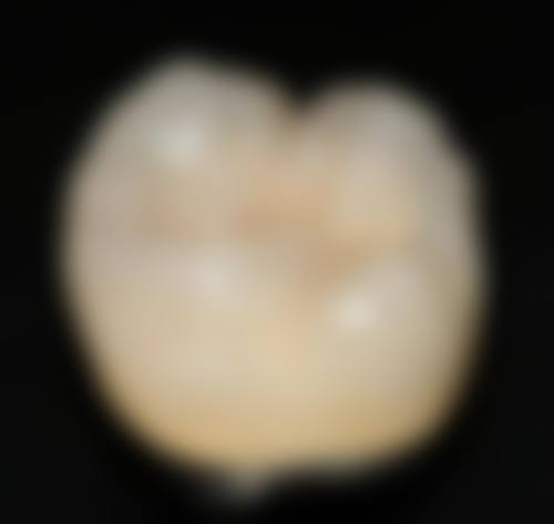医生资质介绍
