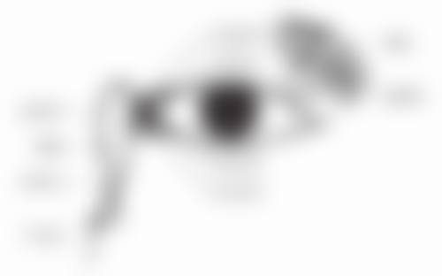 FAQ:常见问题解答