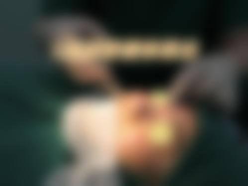 预约优惠活动