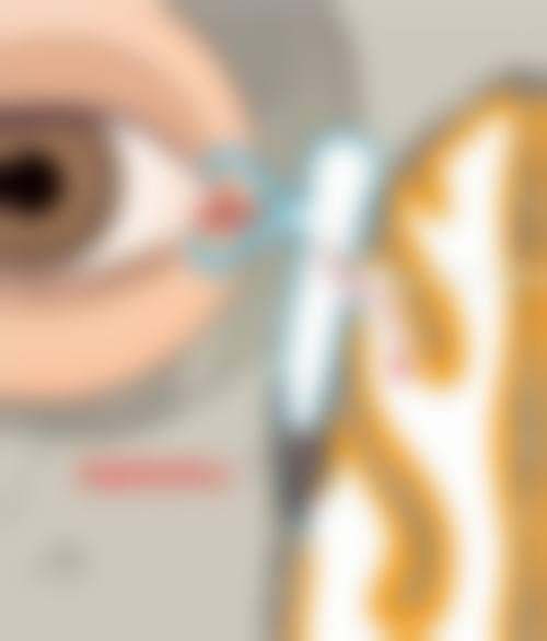 诊疗特色总结