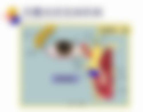 预约优惠活动