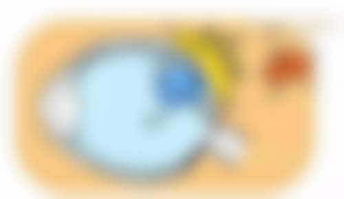 常见问题解答与预约指引