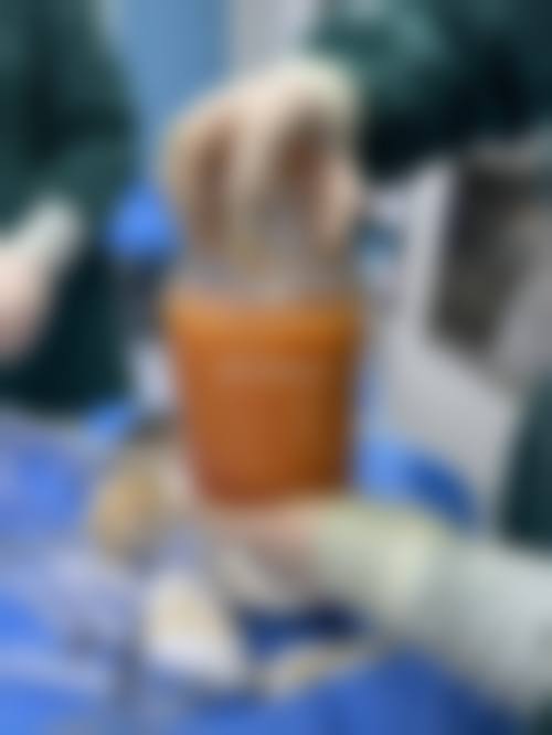 结尾预约号召