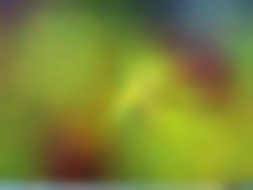 结尾预约号召:立即行动,重获清晰视界!
