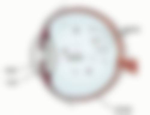 FAQ:常见问题解答
