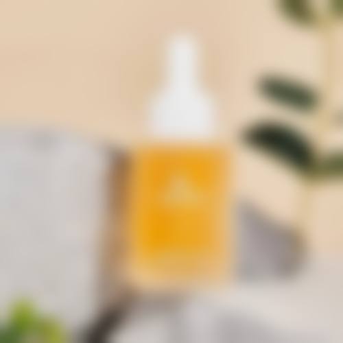总结与预约指引