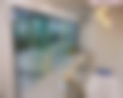 擅长项目详解