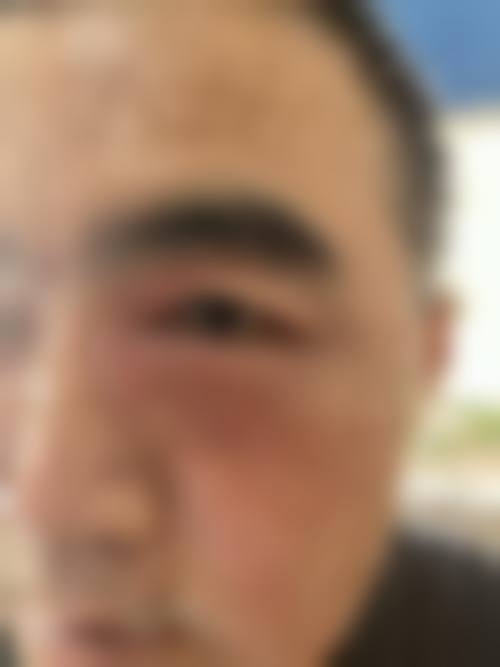 医生资质介绍:刘京珍医生的专精背景解析