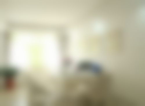 擅长项目详解